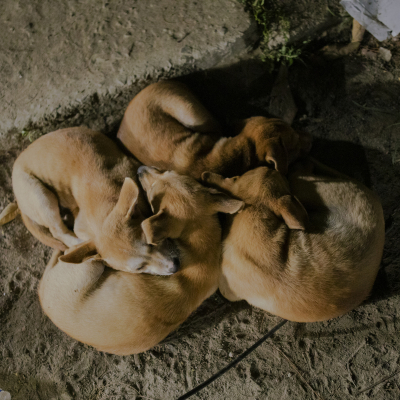 Sebi Berens Photo - Preview - No Use Without Permit