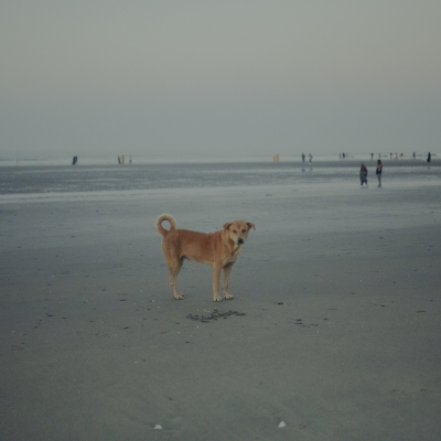 Sebi Berens Photo - Preview - No Use Without Permit