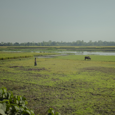 Sebi Berens Photo - Preview - No Use Without Permit