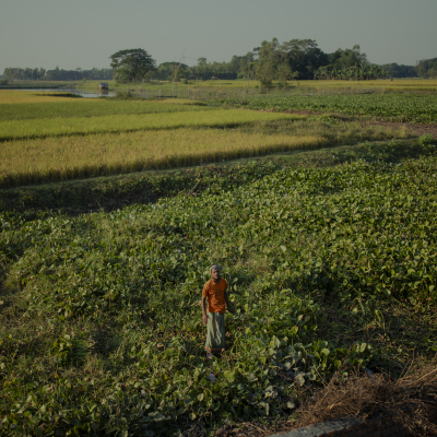 Bangladesh - November, 2025. 

Kuliarchar, Bangladesh

In times of the interim government - Streetshots. Exact Caption on request.