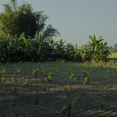 Sebi Berens Photo - Preview - No Use Without Permit