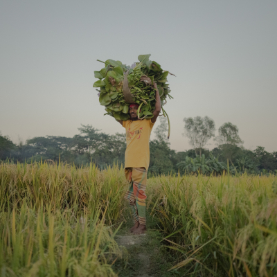 Sebi Berens Photo - Preview - No Use Without Permit