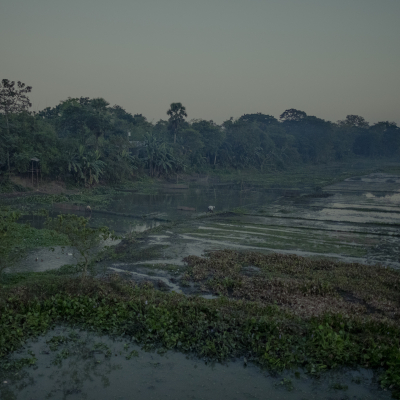 Sebi Berens Photo - Preview - No Use Without Permit