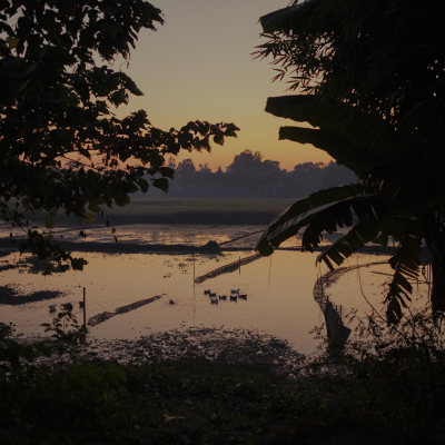 Bangladesh - November, 2025. 

Kuliarchar, Bangladesh

In times of the interim government - Streetshots. Exact Caption on request.