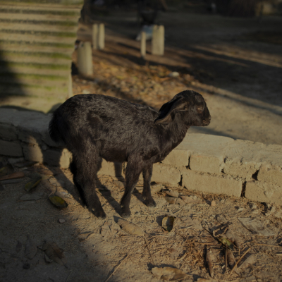 Sebi Berens Photo - Preview - No Use Without Permit