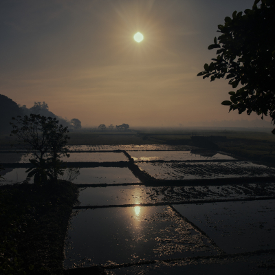 Bangladesh - November, 2025. 

Kuliarchar, Bangladesh

In times of the interim government - Streetshots. Exact Caption on request.