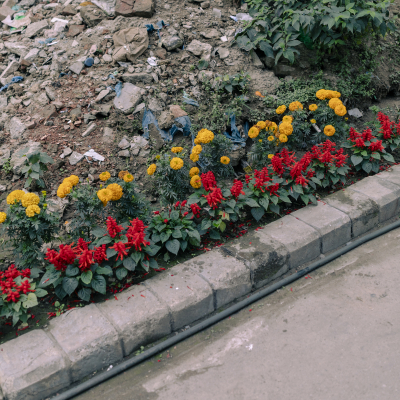 733A1510_CountryofImpossibilities_2_SBP_LORES