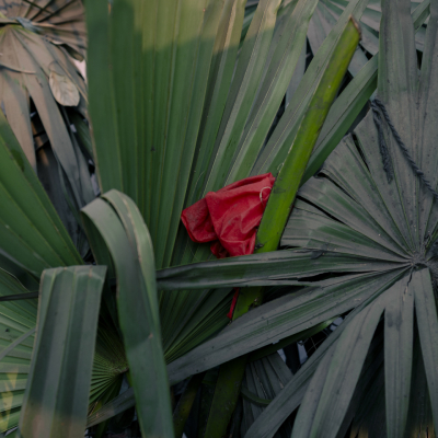 733A1569_CountryofImpossibilities_2_SBP_LORES