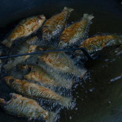 733A1659_CountryofImpossibilities_2_SBP_LORES