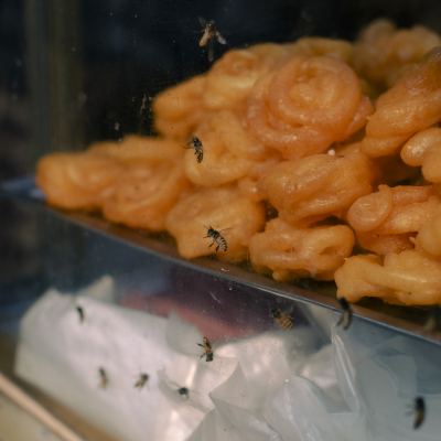 733A2098_CountryofImpossibilities_2_SBP_LORES