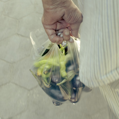 Egypt, July, 2024 - exact caption on request