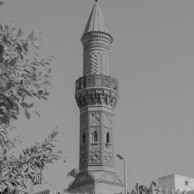 Egypt, July, 2024 - exact caption on request