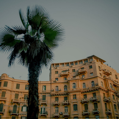 Egypt, July, 2024 - exact caption on request