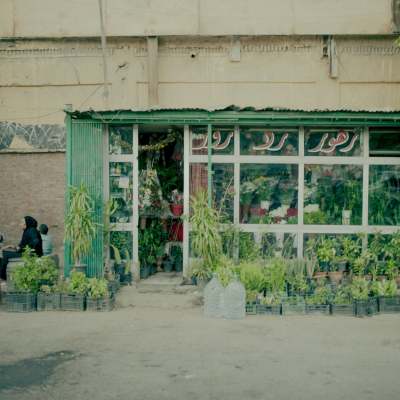 Egypt, July, 2024 - exact caption on request