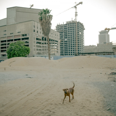 Egypt, July, 2024 - exact caption on request