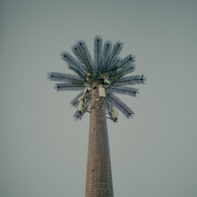 Egypt, July, 2024 - exact caption on request