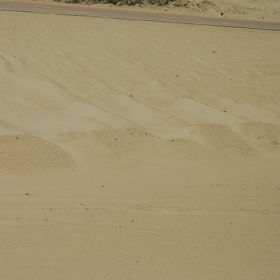 Egypt, July, 2024 - exact caption on request