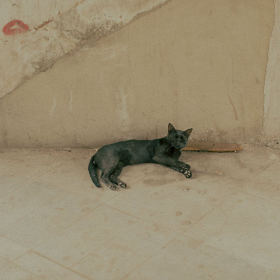 Egypt, July, 2024 - exact caption on request