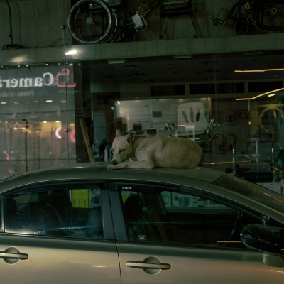 Egypt, July, 2024 - exact caption on request