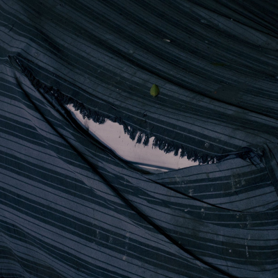 Egypt, July, 2024 - exact caption on request