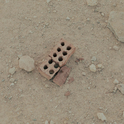 Egypt, July, 2024 - exact caption on request